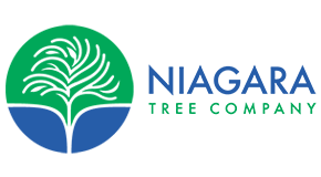 Niagara Tree Company logo
