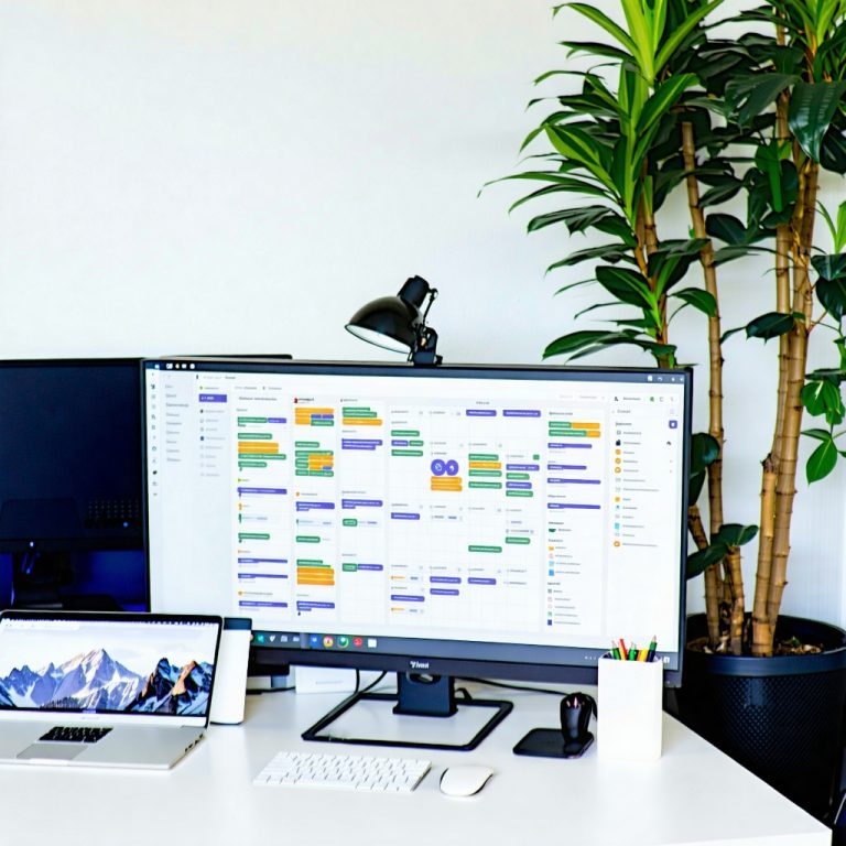 image-2025-01-24_03-42-40-modern-desk-with-nice-computer-professional-and-clean-with-desk-plant